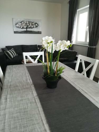 Apartment Villa Bijele Stijene