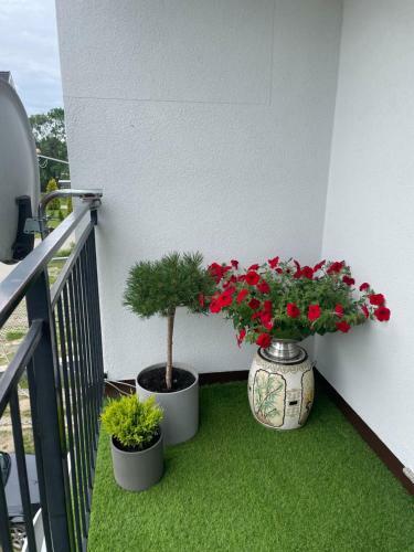 Apartamento Mieszkanie Trzypokojowe