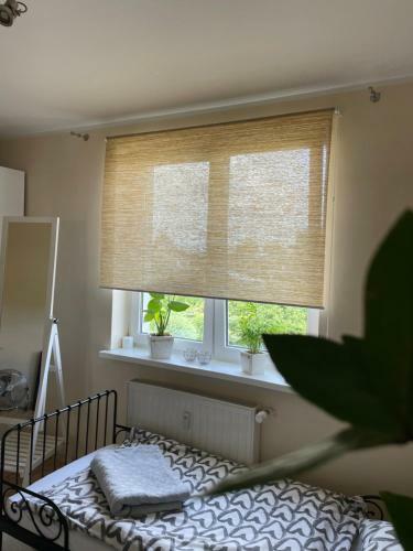 Apartamento Mieszkanie Trzypokojowe