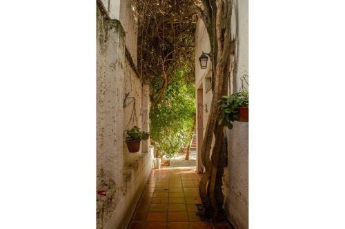 Casa De Lujo Con Piscina En Pleno Centro De Santiago Del Estero
