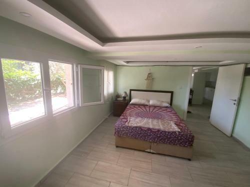 Albergue Shanti Too - S??ac?k