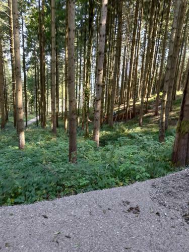 Apartamento Ferienwohnungen Laireiter