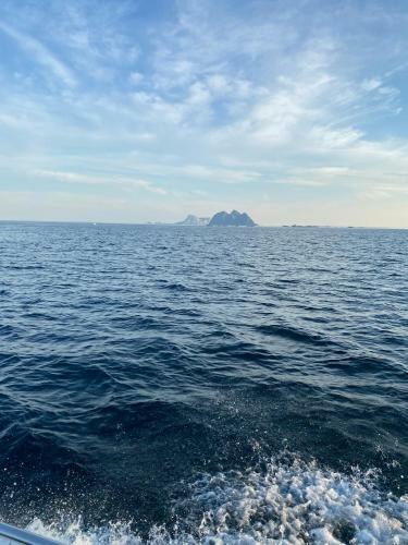 High End Sea Cabins At � In Lofoten. Cabin 1
