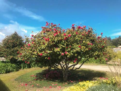 Cozy Classic Apartments 2 - Pal�cio Da Quinta Da Portela