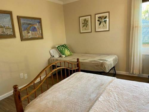 Newly Remodeled! Large Bright Modern House Central