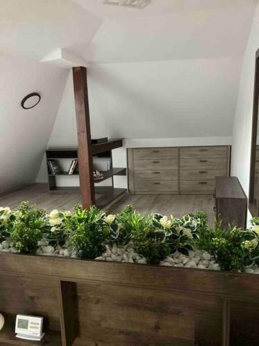 Apartamento Samadhi