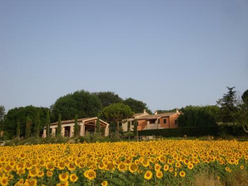 Agroturismo Rustico Del Conero