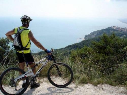 Agroturismo Rustico Del Conero