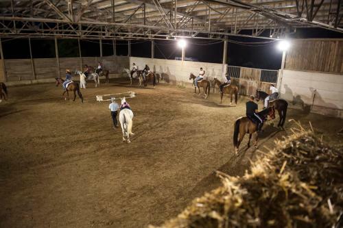 Agroturismo Rustico Del Conero