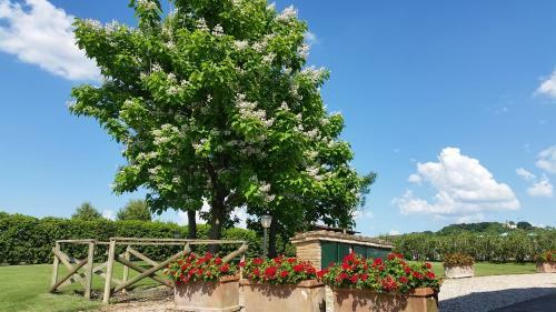 Agroturismo Miralduolo