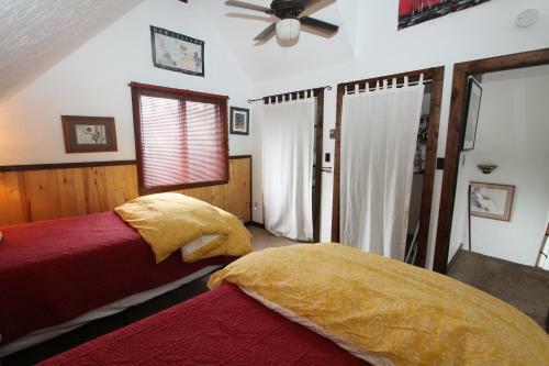 Pooches Paradise Location Elk Ave Dog Friendly