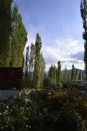Hostal Yarol Guest House