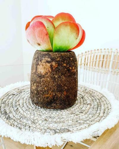 Apartamento Little Pines, Terrigal