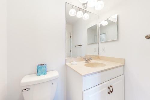 Bear Trap --- 43 Tulip Poplar