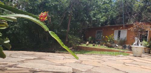 Villa Chal� Caverna