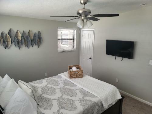 Cozy 3 Bed 2 Bath Pool Home Near Busch Gardens
