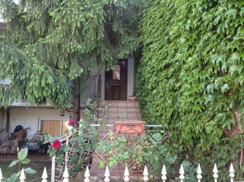 Villa ????? ??? ???????