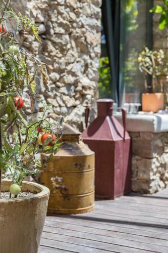 Stylish Guesthouse With Pool In Natural Park