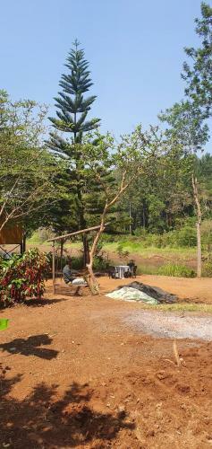 Bob's Nature Stay
