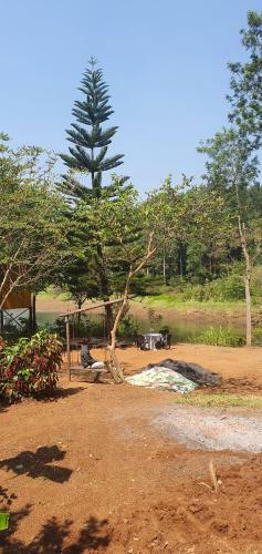 Bob's Nature Stay