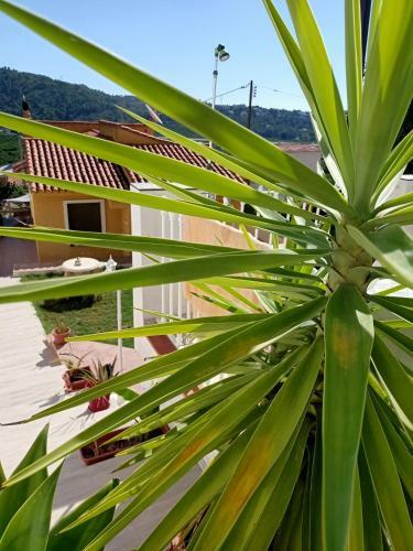 Apartment In Villa Falconera In Gandia