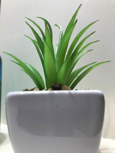 Faliraki Seadream Apartment,50m From The Beach