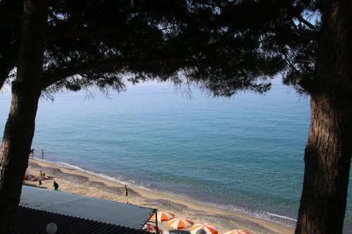Hotel Resort Paradiso Club