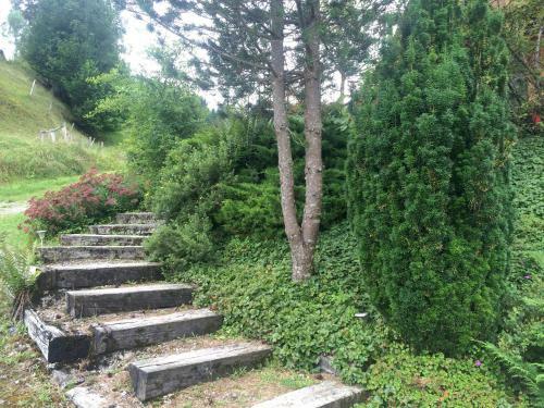 Apartamentos Ferienwohnung H�beli