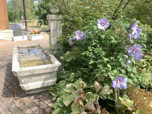 Apartamentos Ferienwohnung H�beli