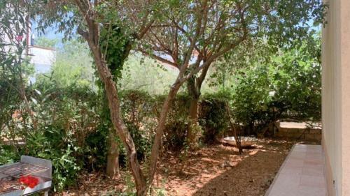 Le Castella Garden Apartment
