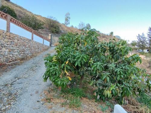 Cortijo La Yegua