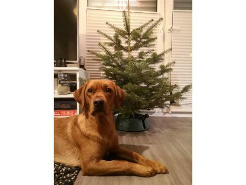 Ferienhaus Weserbergland