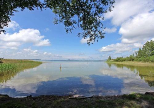 Apartamento Ferienhaus Waren M�ritz See 11081