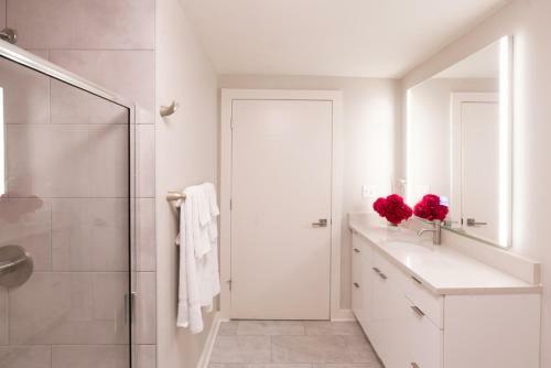 Apartamento Belhaven Heights Lofts By Barsala
