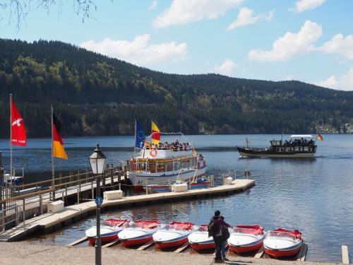 Apartamento B1 Schwarzwald-fewo An Der Alb