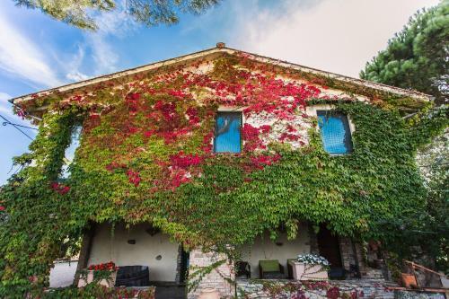 Agroturismo Pieve Del Castello
