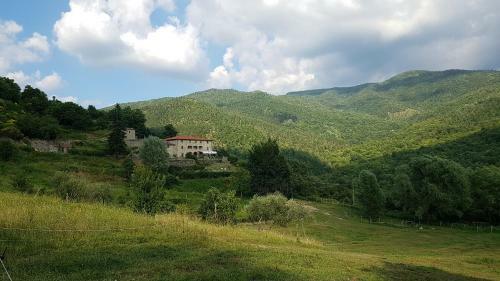 Agroturismo Agriturismo Casentino