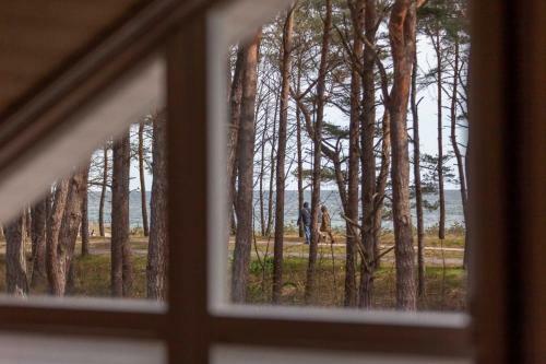 Haus Am Meer 232 - A69885