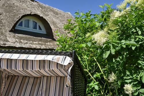 Apartamento Landhaus Vilmnitz - Wohnung 2