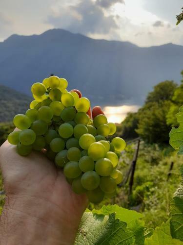 Agroturismo Cascina Teresina