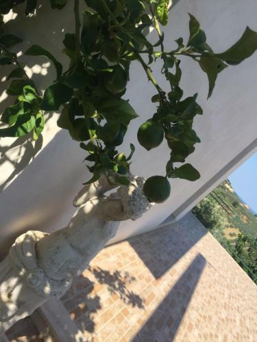 Apartamento Vista Vasto