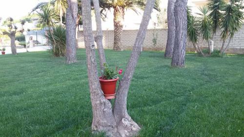 Bed & Breakfast Via Dei Cascella 16