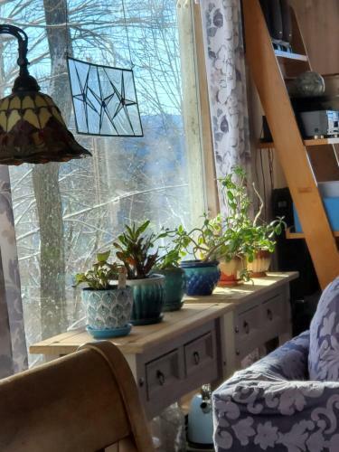 Treehouse Cathedral In Blue Ridge Mountains, Nc
