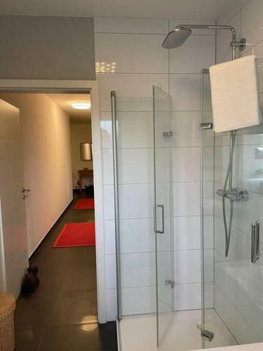 Apartamento Traumhafte Ferienwohnung Fuchs - 100qm
