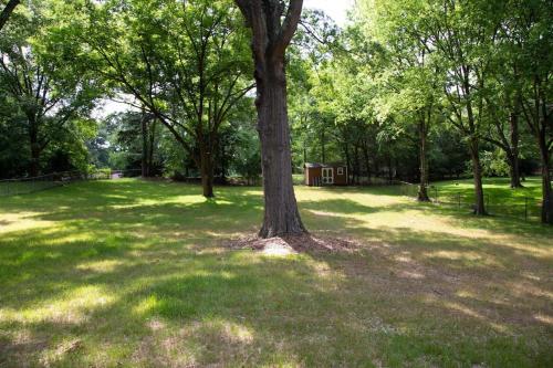 Charming 1960s Home Short Walk To Uptown Lightrail-unit 1