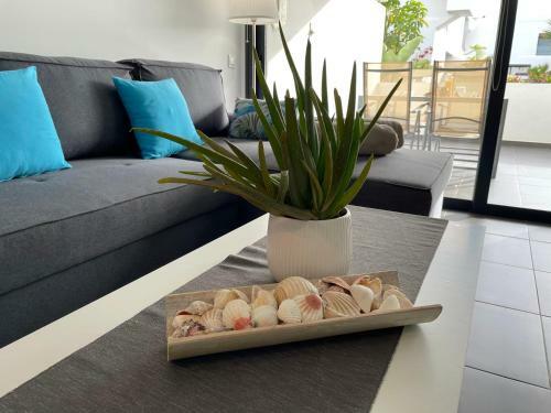 Apartamento Suite Dreams Fuerteventura