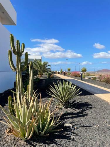 Apartamento Suite Dreams Fuerteventura