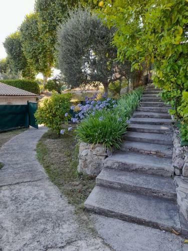 Apartamento Cottage Au Village