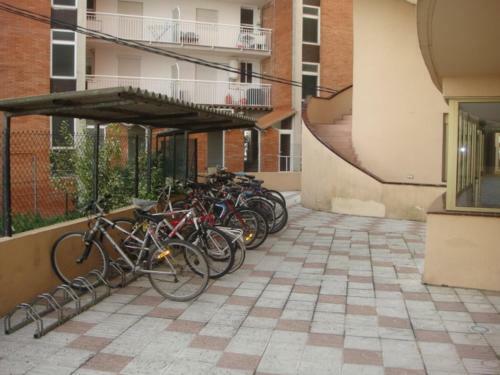 Apartamento Las Lilas 57