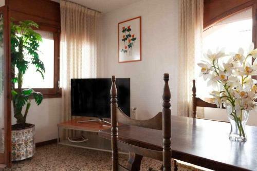 Apartamento Con Gran Terraza En Empuriabrava